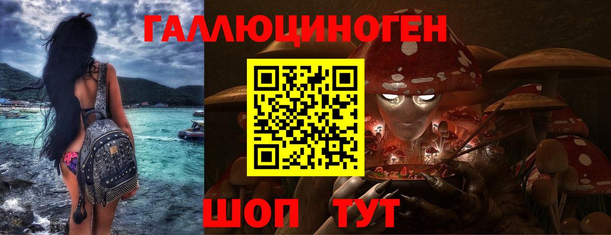 Павловский Посад  Псилоцибиновые грибы Cubensis  Вход с VPN 