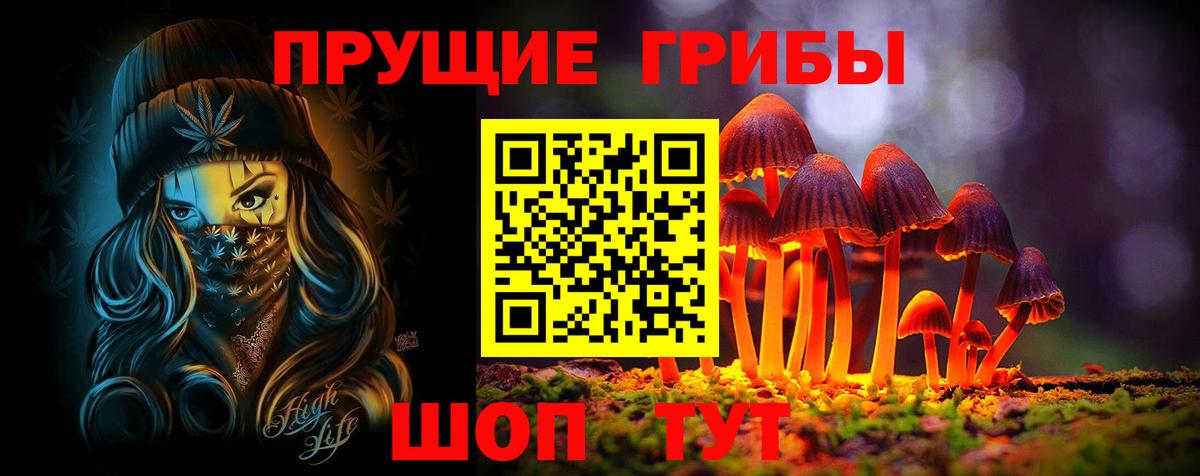 Псилоцибиновые грибы мицелий Павловский Посад